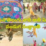 Sankranti Celebrations in Madanapalle