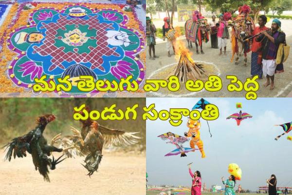 Sankranti Celebrations in Madanapalle