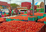 Madanapalle Market