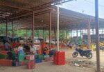 Madanapalle Market