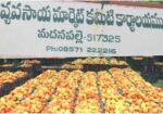 Madanapalle Market