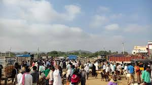Madanapalle Market