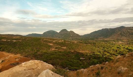 Horsley Hills