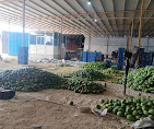 Sri Madanapalli Junior College